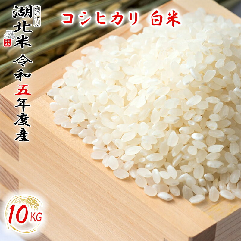 [令和5年度産] コシヒカリ [白米] 10kg お米 湖北米 特別栽培米 [送料無料 一部除く ] 1等米 安心 安全 滋賀県 湖北町 減農薬栽培 有機栽培