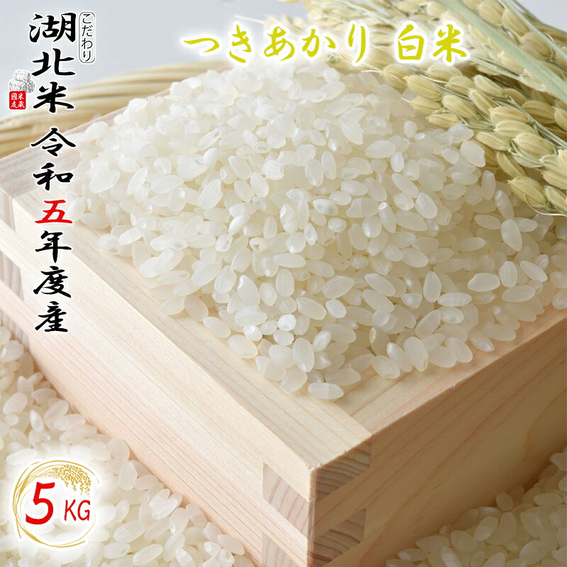 [令和5年度産] つきあかり [白米] 5kg お米 湖北米 特別栽培米 [送料無料 一部除く ] 1等米 安心 安全 滋賀県 湖北町 減農薬栽培 有機栽培