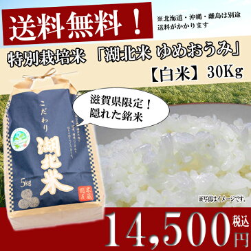 ゆめおうみ【白米】30kg 平成30年度産お米/湖北米/近江米 特別栽培米【送料無料・送料込み（一部除く）】新米/1等米/こだわり米/安心/安全/米/滋賀県/湖北町/琵琶湖/はくまい/減農薬栽培/放射能検査済/こめ/コメ/激安/ギフト/通販/機内食