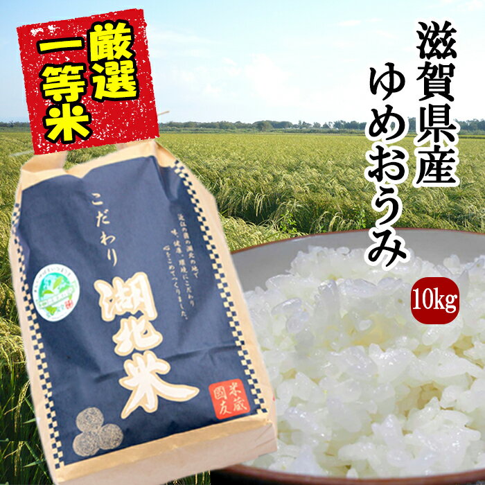 ゆめおうみ【白米】10kg 令和2年度産お米/湖北米/近江米 特別栽培米【送料無料・送料込み（一部除く）】新米/1等米/こだわり米/安心/安全/米/滋賀県/湖北町/琵琶湖/はくまい/減農薬栽培/放射能検査済/こめ/コメ/激安/ギフト/通販/機内食