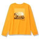 ノースフェイス THE NORTH FACE ロングスリーブスリーブグラフィックティー NTW32344 SG(サミットゴールド) レディース Tシャツ 長袖 ...