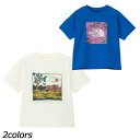ノースフェイス THE NORTH FACE トドラーショートスリーブサンシェードグラフィックティー NTT12560 Tシャツ 半袖 水陸両用 耐塩素 UVプ...
