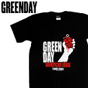GREEN DAY グリーンデイ バンドTシャツ 半袖 BA-0017-BK american idiot TEE バンドTシャツ