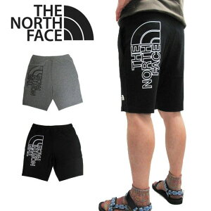 THE NORTH FACE Ρե 硼ȥѥ ϡեѥ  NF0A3S4F եå 硼 礭 MENS GRAPHIC SHORT LIGHT