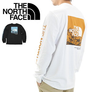 THE NORTH FACE ノースフェイス ロンT 長袖Tシャツ メンズ NF0A5GML 袖ロゴ バックプリント