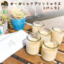 有機 プリン ミックス バニラ味 100g K and Son's / プリンの素 プリン 豆乳 クリーム 乳不使用 卵不使用 無添加 オーガニック ヴィーガン...