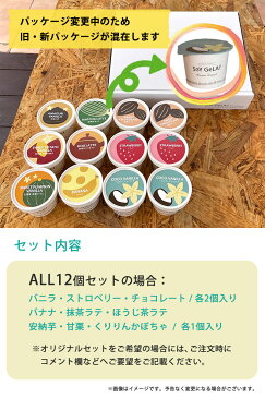 残暑見舞い 敬老の日 プレゼント コロナ お見舞い アイス スイーツ ギフト 夏ギフト 送料無料【12個】 オーガニック 豆乳 アイス 選べる SOY GeLA! / 無添加 ジェラート 詰め合わせ 低カロリー 卵不使用 乳製品不使用 アレルギー対応 有機 ヴィーガン 誕生日 内祝い