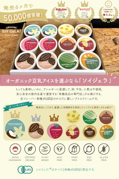 残暑見舞い 敬老の日 プレゼント コロナ お見舞い アイス スイーツ ギフト 夏ギフト 送料無料【6個】 オーガニック 豆乳 アイス 選べる SOY GeLA! / 無添加 ジェラート 詰め合わせ 低カロリー 卵不使用 乳製品不使用 アレルギー対応 有機 ヴィーガン 誕生日 内祝い