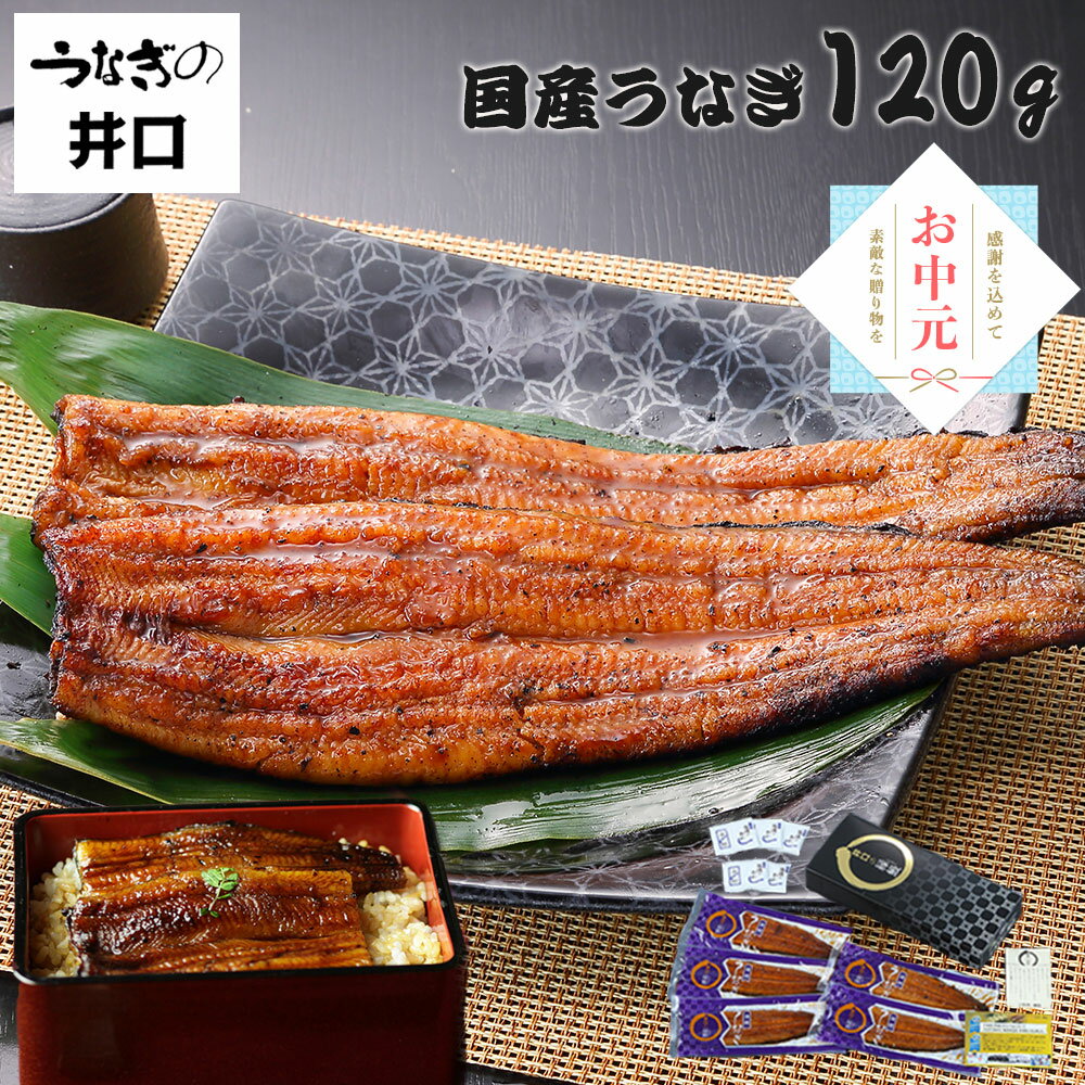 お中元ギフト 2026  ギフト プレゼント うなぎ 国産 蒲焼き 浜松 かば焼き 120g 鰻 ウナギ 冷凍 詰め合わせ お取り寄せ グルメ 食べ物 冷凍便 土用の丑の日 誕生日プレゼント 内祝 お返し 送料無料 御中元 夏ギフト