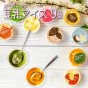 父の日 プレゼント 2025 ギフト お菓子 アイス アイスクリーム 豆乳アイス ヴィーガン 無添加 オーガニック お取り寄せスイーツ 食べ物 のし 対応 お誕生日 内祝 出産祝い お返し 低カロリー ジェラート 9個 100ml / SOY GeLA! ソイジェラ