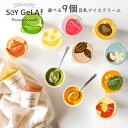 【9個】 オーガニック 豆乳 アイス 選べる SOY GeLA! / お歳暮 ギフト クリスマス お菓子 プレゼント アイス ギフト 送料無料 無添加 ジェラート 詰め合わせ 低カロリー 卵不使用 乳製品不使用 アレルギー対応 有機 ヴィーガン 誕生日 内祝い