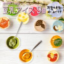 敬老の日ギフト 2025 プレゼント お菓子 アイス 豆乳アイス ヴィーガン 無添加 オーガニック お取り寄せスイーツ 食べ物 熨斗対応 誕生日 内祝 出産祝い お返し 低カロリー ジェラート 9個 100ml / SOY GeLA! ソイジェラ