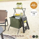 ラック 収納 サイドテーブル マガジンラック 収納ボックス ナイトテーブル 折りたたみ アウトドア キャンプ バーベキュー レジャー 軽量 コンパクト 持ち運び 幅42 リビング 寝室 スチール