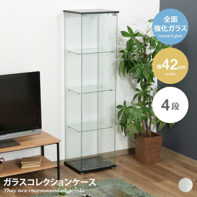 楽天市場】【MAX50％OFF! 4/9 20:00~20:59まで☆】コレクションケース 