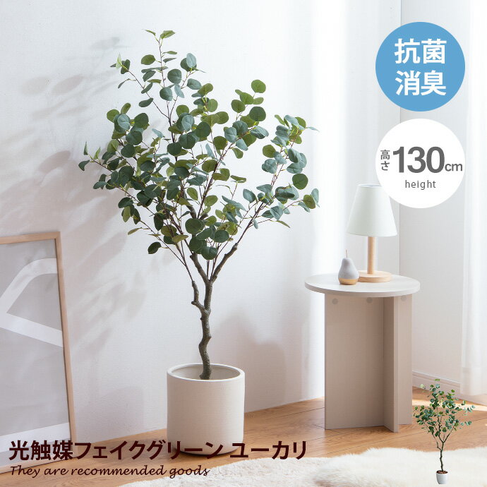 楽天市場】フェイクグリーン(花・観葉植物|花・ガーデン・DIY 楽天市場】フェイクグリーン(花・観葉植物|花・ガーデン・DIY