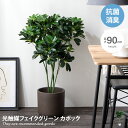 【クーポンで15％OFF！4/29 0:00~4/30 23:59限定★】ナチュレ Nature カポック 観葉植物 フェイクグリーン シェフレラ 人工 室内 リビング オフィス 一人暮らし 緑 インテリア 光触媒 空気清浄 消臭 抗菌 防汚 ホルムアルデヒド分解 高さ90cm 人工 造花 観葉 植物 植木