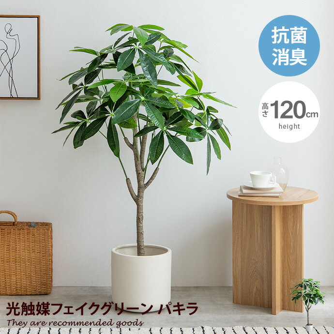 フェイクグリーン 観葉植物 フェイク 人工観葉植物 卓上 ミニ 小さい 光触媒 アザミサボテンスイングイエロー 22cm 鉢植 多肉植物 人工造花 光触媒 CT触媒 インテリア 鉢付