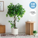 観葉植物 【高さ120cm】Nature 光触媒人工観葉植物　ベンジャミン