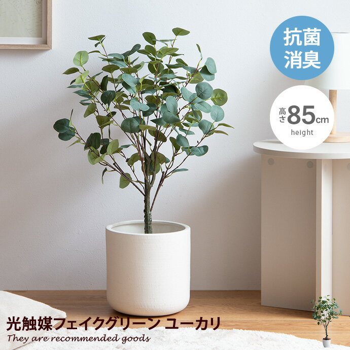ナチュレ Nature ユーカリ 観葉植物 