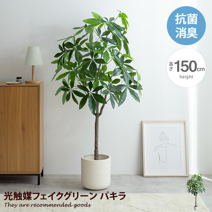 楽天インテリアショップ・イーナ【クーポンで15％OFF！5/15 0:00~5/16 1:59まで！】ナチュレ Nature パキラ 観葉植物 人工 フェイクグリーン 室内 リビング オフィス 一人暮らし 緑 インテリア 光触媒 空気清浄 消臭 抗菌 防汚 ホルムアルデヒド分解 おしゃれ 高さ150cm 造花 植木 鉢植え 新築祝い