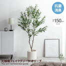 観葉植物 【高さ150cm】Nature 光触媒人工観葉植物 オリーブ