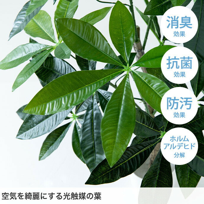 �桼���� ���տ�ʪ �͹� �ե��������꡼�� ��ӥ� ���� ���ե��� �����餷 �� Nature �ʥ���� ����ƥꥢ���꡼�� ������ �������� �ý� ���� �ɱ� �ۥ�ॢ��ǥҥ�ʬ�� �⤵85cm �͹� ¤�� ���� ��ʪ ȭ����