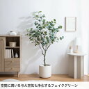 eeena:10029921のサンプル画像2