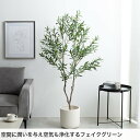 eeena:10030939のサンプル画像2