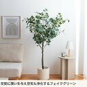 eeena:10030938のサンプル画像2