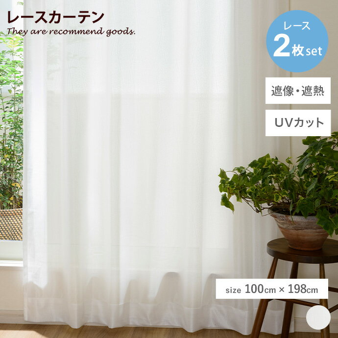 MAX50OFF! 11/2411/25ۥƥ 졼ƥ 2å 2 ֥졼 쥢  ή ̵ Ǯ Ǯ ...