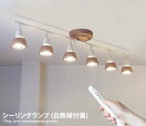 シーリングライト Harmony 6 remote ceiling lamp (白熱球付属)