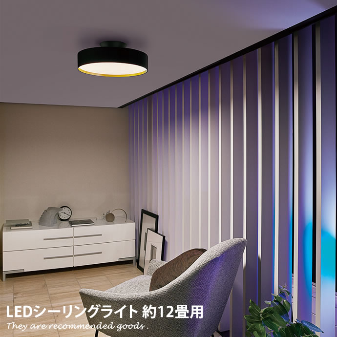 【MAX50％OFF! 10/4 20:00 ~ 23:59まで★】照明 【約12畳用】シーリングライト 照明器具 ライト シーリング 天井照明 リビング用 インテリア ルームライト おしゃれ LED対応 円形 リモコン付き コンパクト シンプル スチール アクリル ブラック