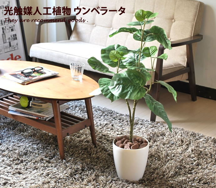 楽天インテリアショップ・イーナ【クーポンで13％OFF！5/13 0:00~5/14 23:59まで！】光触媒 観葉植物 ウンベラータ 造花 ホルムアルデヒド グリーン タバコ シンプル アートフラワー 植物 消臭 人工植物 モダン 抗菌 ペット 北欧 人工 人気 バーゲン