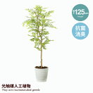 観葉植物 【高さ125cm】Golden leaf 光触媒人工植物 ゴールデンリーフ