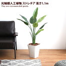 観葉植物 Strelitzia 光触媒人工植物 ストレチア 高さ1.1m