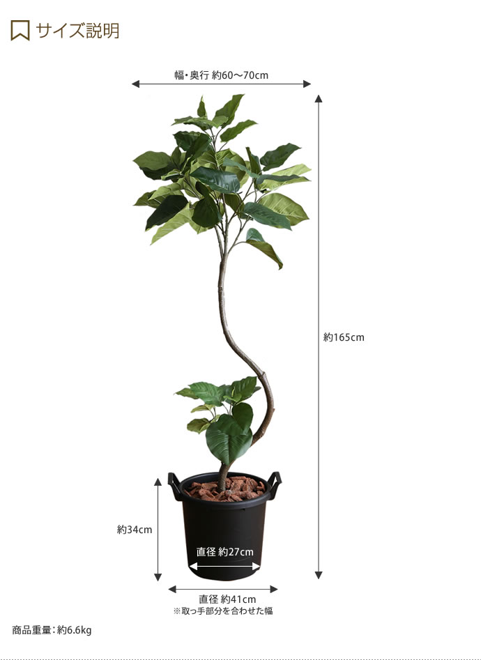 �ե��������꡼�� �͹����տ�ʪ �͹���ʪ �⤵1.65m ����ƥꥢ���꡼�� ������ ¤�� ����ƥꥢ ����٥顼�� �ý� ���� V-CAT ���꡼�� ���Ȥǲᤴ�� ����������