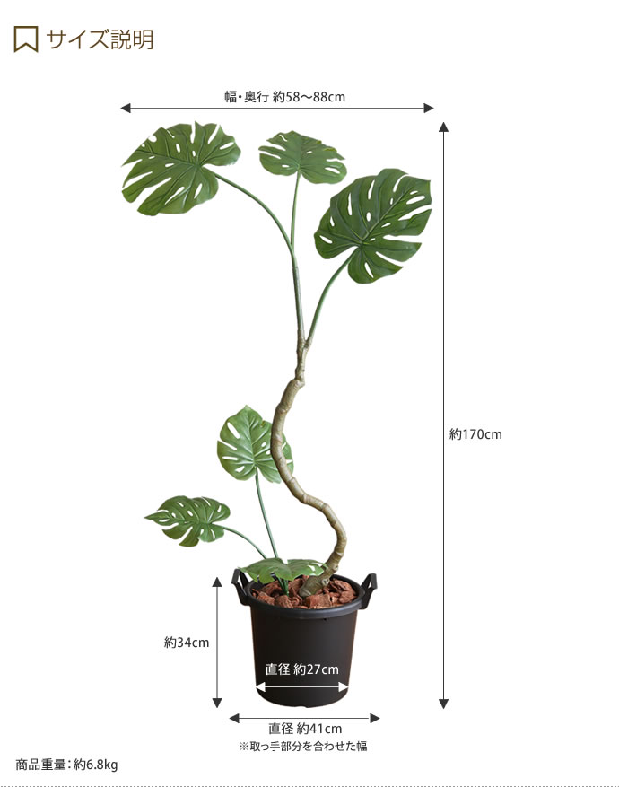 �ե��������꡼�� �͹����տ�ʪ �͹���ʪ �⤵1.7m ����ƥꥢ���꡼�� ������ ¤�� ����ƥꥢ ��󥹥ƥ� �ý� ���� V-CAT ���꡼�� ���Ȥǲᤴ�� ����������