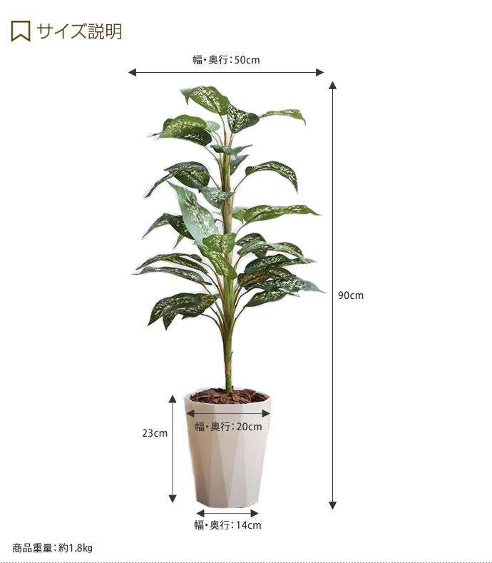 ������ �ڹ⤵90cm�� ���տ�ʪ �ե��������꡼�� ���꡼��ȶ� �͹����տ�ʪ �̲� ����ƥꥢ �ǥ��ե���Х��� ¤�� ����ɥ����꡼�� �ý� �ɶ� �͵� �İ��� ���襤��