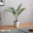 観葉植物 Estate 光触媒人工植物 パームヤシ