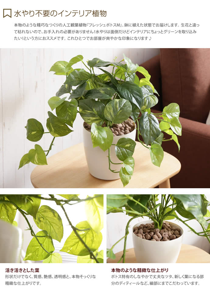 【クーポンで10％OFF! 2/23 2:00~23:59まで★】Pothos Fresh 人工植物 フレッシュポトスM 光触媒 観葉植物 水やり不要 お手入れ不要 グリーン リアル