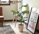 楽天インテリアショップ・イーナ【クーポンで15％OFF！4/24 20:00~4/25 23:59まで】光触媒 観葉植物 モンステラ 造花 抗菌 グリーン 植物 シンプル 人工 防菌 消臭 モンステラ75 除菌 バーゲン 人気 モダン 北欧 アートフラワー 人工植物 ホルムアルデヒド