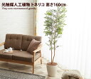 【クーポンで14%OFF! 5/11 0:00~23:59まで★】トネリコ 観葉植物 tonerico toneriko イミテーショングリーン 室内 消臭 人...