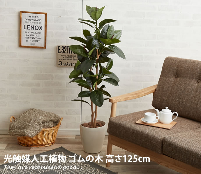 ゴムの木 【クーポンで13％OFF！5/13 0:00~5/14 23:59まで！】ゴムの木 観葉植物 rubber ゴム 抗菌 tree グリーン 光触媒 人工 イミテーショングリーン 防菌 プレゼント 癒し ギフト 消臭 大型 オフィス 植物 造花 室内 おしゃれ rubbertree