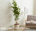【クーポンで15%OFF! 7/6 0:00~23:59まで★】シーグレープ 観葉植物 grape sea 植物 室内 グリーン イミテーショングリーン 消臭 人工 ギフト 160cm 抗菌 造花 1m60cm 大型 癒し 光触媒 オフィス プレゼント 防菌