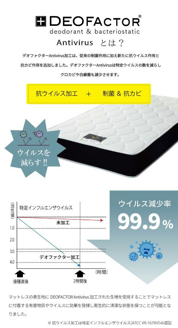 サンプル画像2