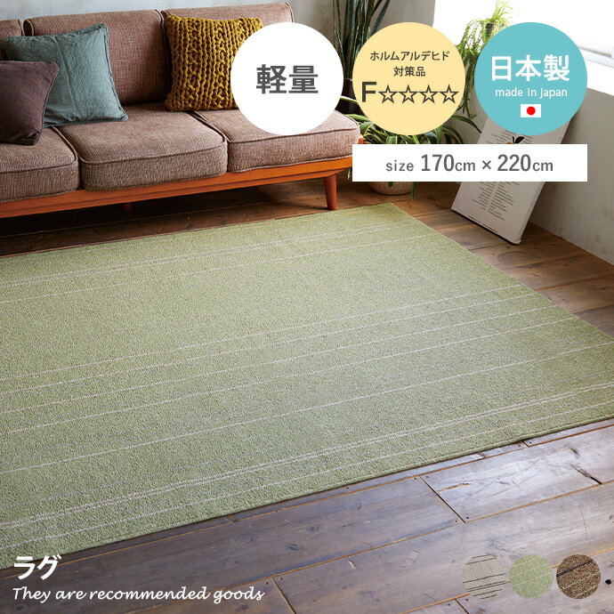 【★MAX50%OFF!5/15 0:00〜5/16 1:59まで★】ラグマット ラグ カーペット マット 四角 絨毯 170×220 長方形 防ダニ ホットカーペット対応 日本製ラグ 洗える 洗濯OK 洗濯可能 幅170 人気 新生活 オシャレ お洒落 国産ラグ 床暖対応 滑り止め付 遊び毛防止 ダイニング