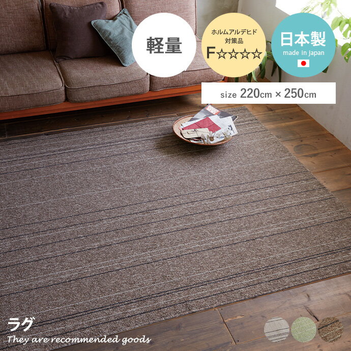 樂天商城 - 【クーポンで15％OFF! 4/18 0:00~23:59まで★】ラグマット ラグ カーペット マット 四角 絨毯 220×250 長方形 防ダニ ホットカーペット対応 日本製ラグ 洗える 洗濯OK 洗濯可能 幅220 人気 新生活 オシャレ お洒落 国産ラグ 床暖対応 滑り止め付 遊び毛防止 ダイニング