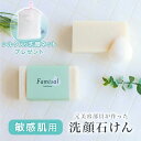 【今だけシルク入り洗顔ネット プレゼント】 敏感肌の元BAが開発した炭酸泡パックになる無添加石けん【 ファミソル コールドソープ 】洗顔石鹸 洗顔石けん 固形 ...