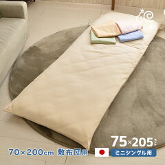 https://thumbnail.image.rakuten.co.jp/@0_mall/eefuton/cabinet/covering09/mk-510ms.jpg