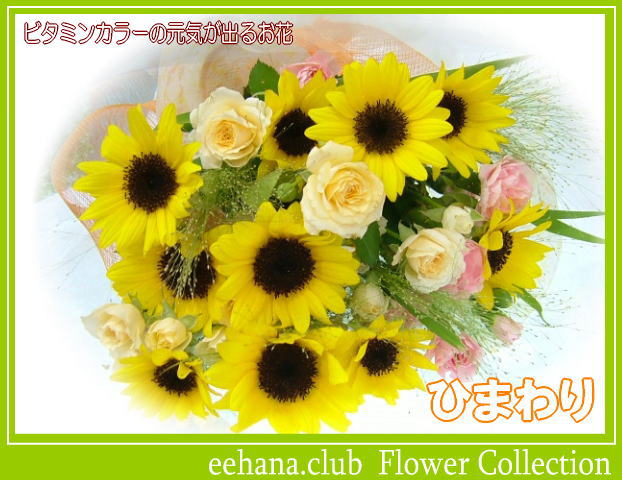 ひまわり 8月の誕生花★ひまわり花束3,500円【送料無料】【写真付きメッセージ選択可】【楽ギフ_包装】【楽ギフ_メッセ】【楽ギフ_メッセ入力】【あす楽対応】